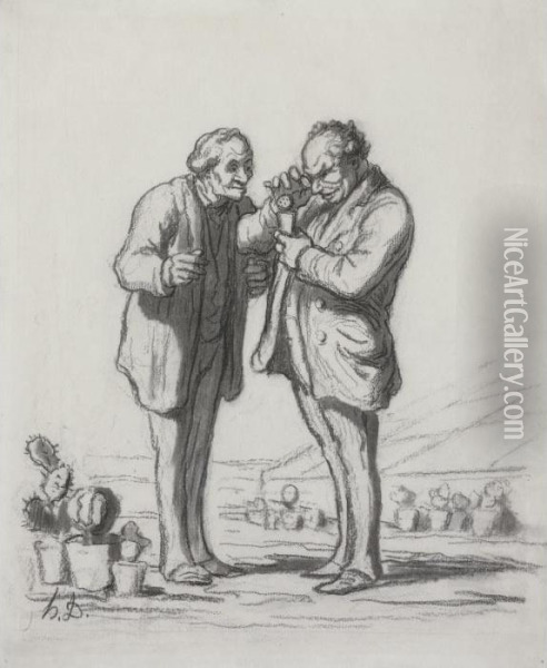 Membres D'une Societe D'horticulture Oil Painting - Honore Daumier