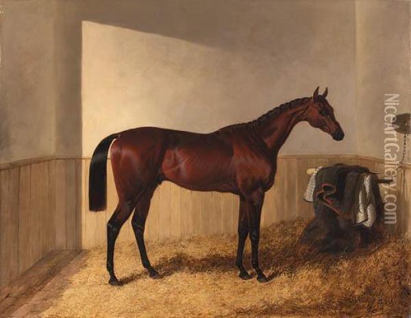 Merry Monarch In A Stable Oil Painting - John Frederick Herring Snr
