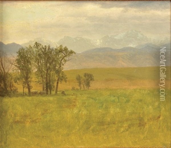 Colorado Scene Oil Painting - Albert Bierstadt