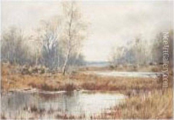 Marshland Oil Painting - James Edward Grace