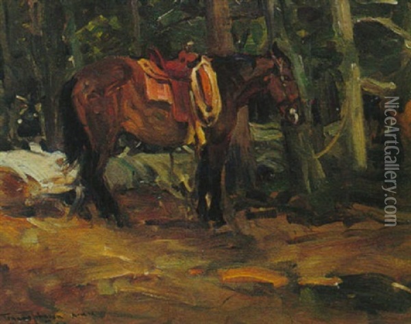 Dark Horse Oil Painting - Frank Tenney Johnson