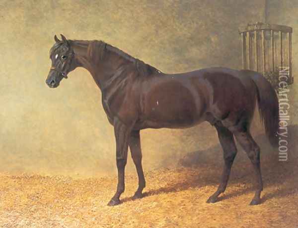 Chestnut Colt Gladiator in Stable 1844 Oil Painting - John Frederick Herring Snr
