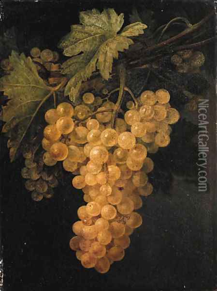 A bunch of white grapes on the vine Oil Painting - Francisco Lacoma Y Fontanet