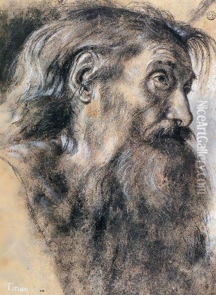 Head of St Jerome Oil Painting - Giovanni Girolamo Savoldo