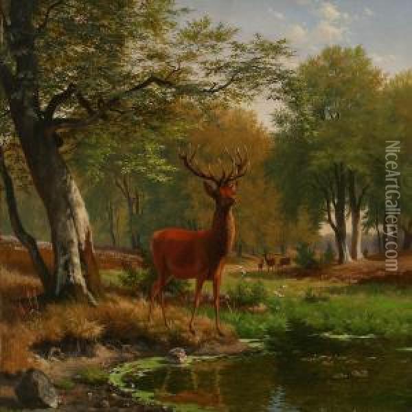 Stag At A Shore In A Forest Glade Oil Painting - Carl Henrik Bogh