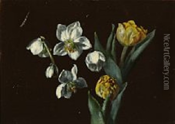 Flowering Petunia And White Anemones And Yellow Tulips Oil Painting - Olaf August Hermansen