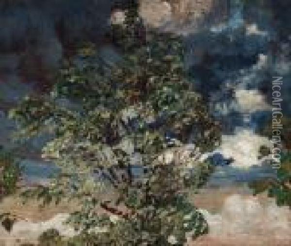 Tree Against Darkening Skies Oil Painting - Helmer Osslund
