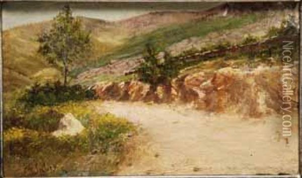 Paisaje De Montana Oil Painting - Manuel Salces y Gutierrez