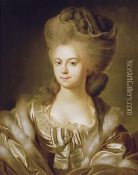 Portrait Of A Lady In A Silver Silk Dress Oil Painting - Johann Baptist Lampi the Elder