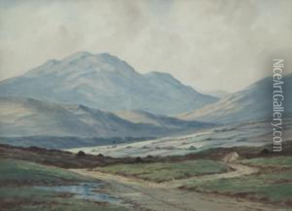 Among The Mountains Nr Westport Co Mayo Oil Painting - Douglas Alexander
