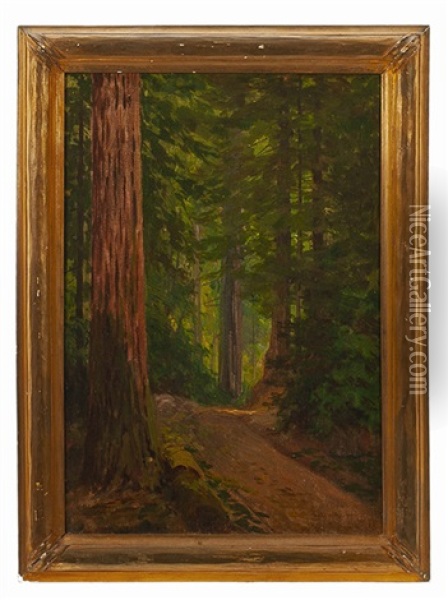 Road Through A Redwood Forest Oil Painting - Lorenzo Palmer Latimer