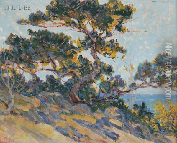 Windswept Cypress/a California View Oil Painting - William Baxter Palmer Closson