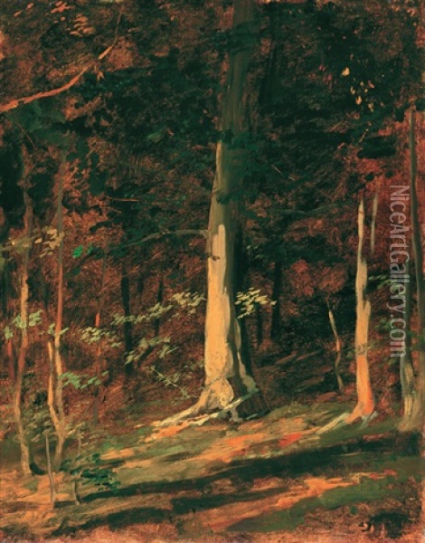 Sunlit Forest Oil Painting - Gyula von (Julius de) Benczur