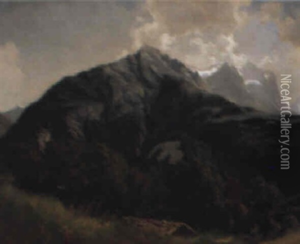 Im Berner Oberland Oil Painting - Johann Rudolf Koller