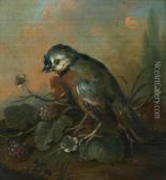 Little Bird With Blackberries Oil Painting - Jacob Van Der Does I