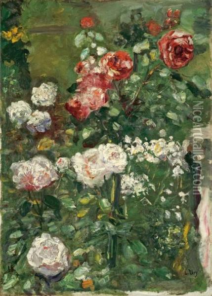 Rosenstraucher Mit Roten Und Weissen Rosen Oil Painting - Lesser Ury