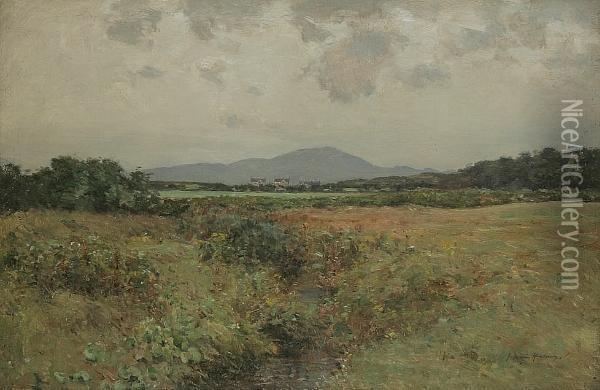 A Summer Meadow Oil Painting - Joseph Henderson