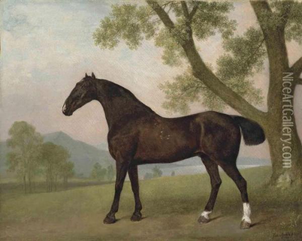 A Dark Bay Hunter Beside A Tree In An Extensive Landscape Oil Painting - George Stubbs