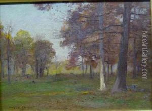 Trees In Autumn Oil Painting - Walter Clark