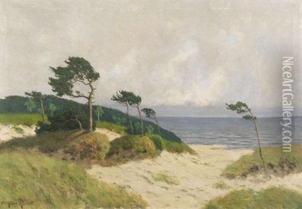 Dunen Mit Windfluchtern Am Weststrand Von Ahrenshoop Oil Painting - Paul Muller-Kaempff