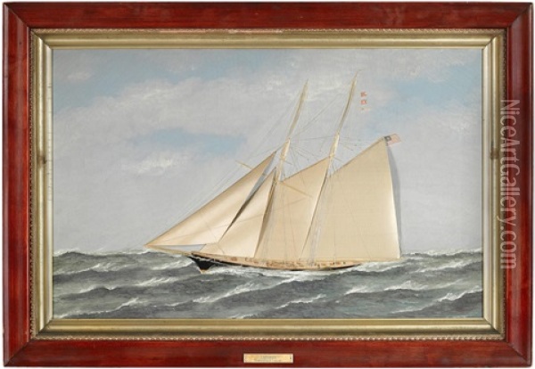 The Schooner Yacht Endymion Under Shortened Sail Oil Painting - Thomas H. Willis