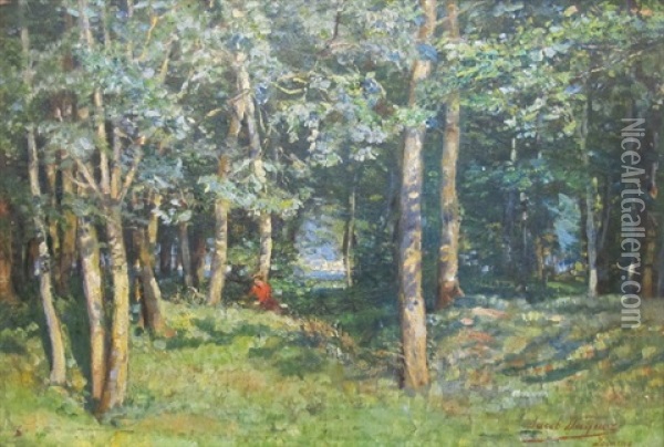 Foret Pres Du Lac Majeur Oil Painting - Jacob Wagner