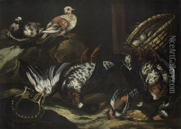 Nature Morte Aux Oiseaux Oil Painting - Jacob van der Kerckhoven