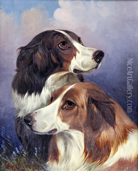 Heads Of Two Rough Collies Oil Painting - Colin Graeme
