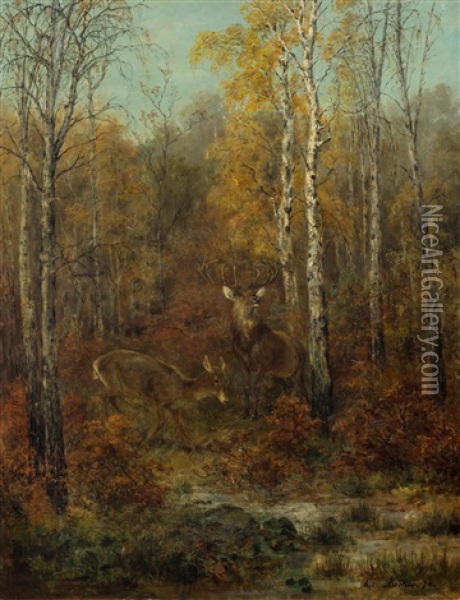 A Wooded Landscape With Deer Oil Painting - Anton Becker