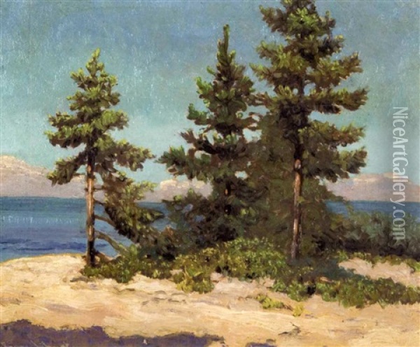 Spruce Point, Georgian Bay Oil Painting - Francis Hans Johnston