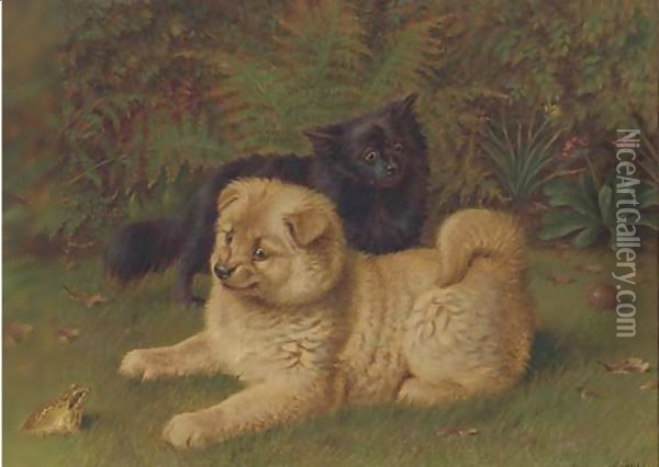 Chow pomeranians in a garden Oil Painting - Horatio Henry Couldery