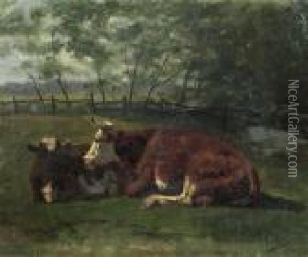 Two Cows Resting In A Meadow. Oil Painting - Anton Mauve
