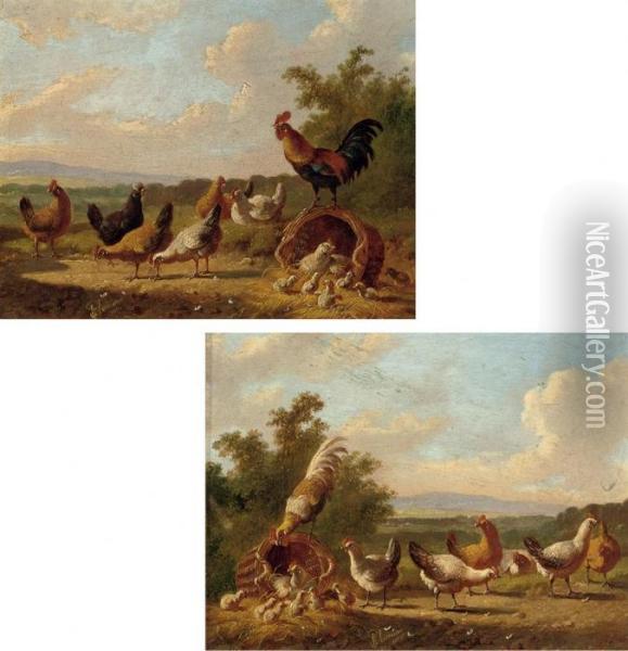 Chickens In The Farmyard Oil Painting - Albertus Verhoesen