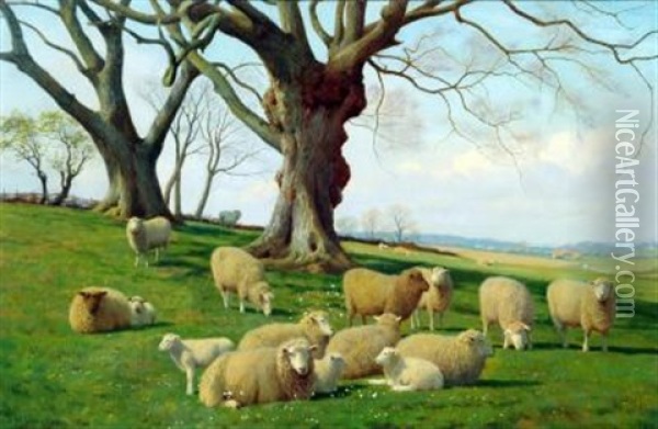 Sheep And Lambs In An Early Spring Landscape Oil Painting - William Sidney Cooper