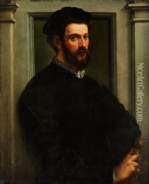 Portrait Eines Gelehrten Oil Painting - Francesco del Rossi (Salviati)
