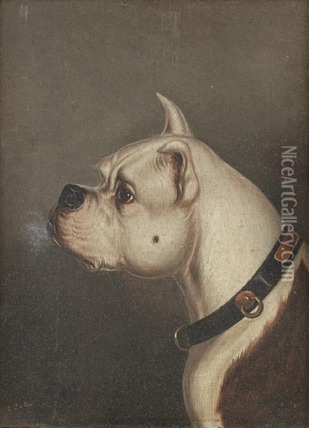 Bulldog Head Studies Oil Painting - Edwin Loder