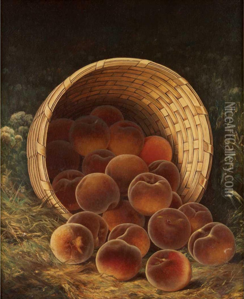 Peaches In A Basket Oil Painting - William Mason Brown