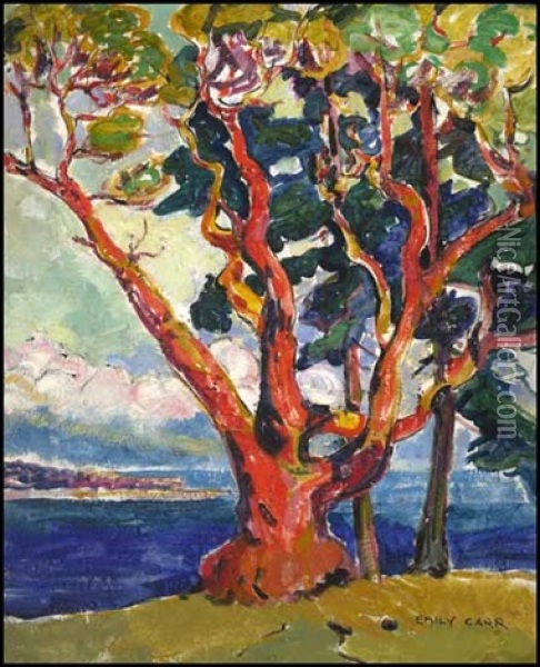 Arbutus Tree/untitled Portrait Verso Oil Painting - Emily Carr