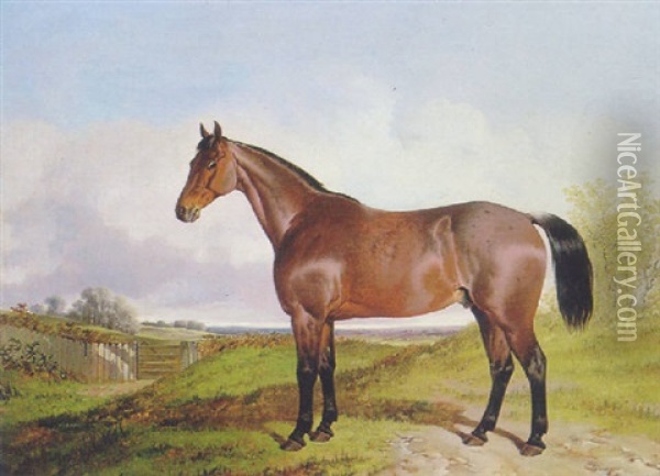 A Chestnut Horse In A Landscsape Oil Painting - John Dalby