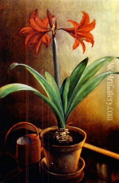 Stilleben Mit Amaryllis Oil Painting - Johann Heusch