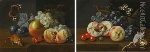 Pair Of Still Lifes With Fruits, Butterflies And Mice Oil Painting - Johann Amandus Winck