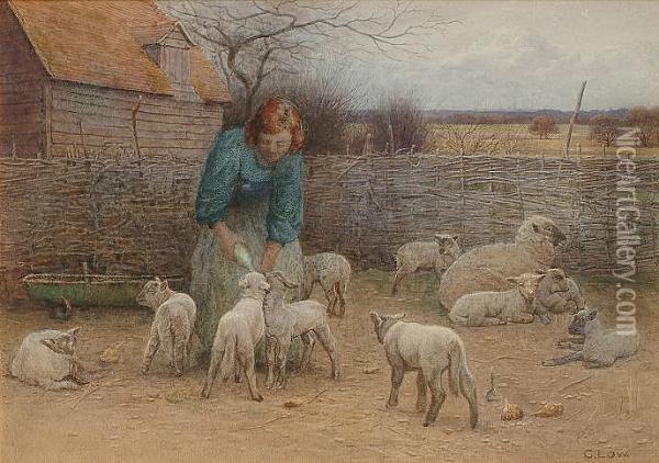 Feeding The Lambs Oil Painting - Charles Low