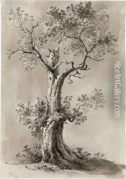 Study Of A Blasted Tree Oil Painting - Jean-Jacques De Boissieu