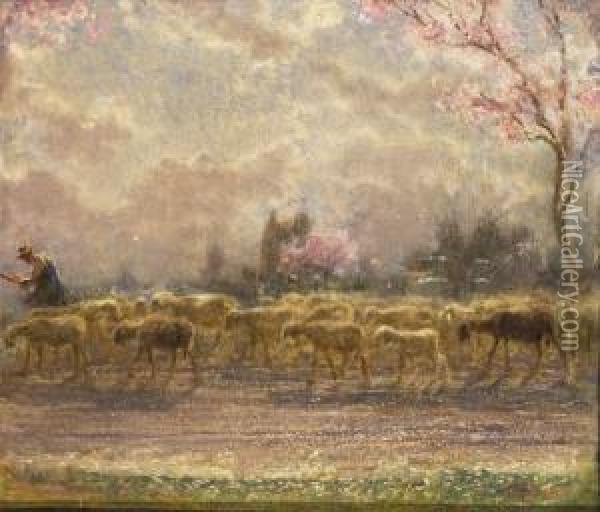Gregge E Pastore A Primavera Oil Painting - Carlo Vittori