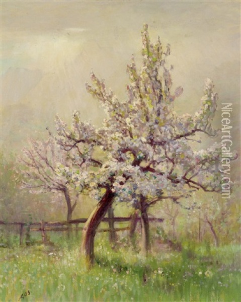 Pommier En Fleurs Oil Painting - Albert Henri John Gos