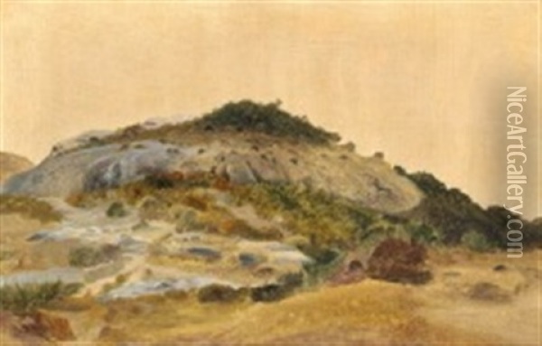 En Bjergskraaning Oil Painting - Frederik (Fritz) Petzholdt