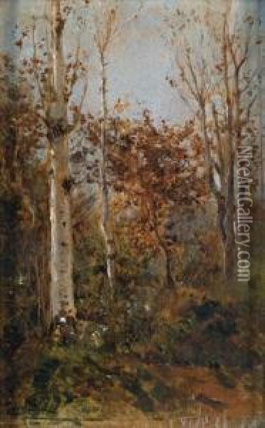 Herbstliche Waldlandschaft Oil Painting - Filippo Carcano