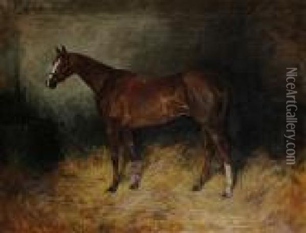 Portrait Of A Horse In A Stable Oil Painting - John Emms