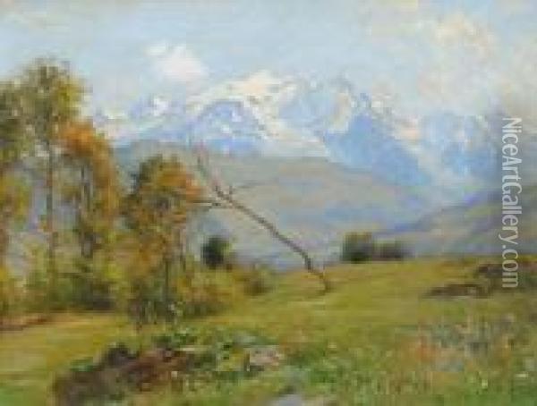 Blick Auf Das Mont Blanc Massiv Oil Painting - Francois Furet