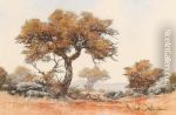 African Savanah Oil Painting - David Johnson